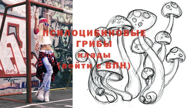 прущая мука Алзамай