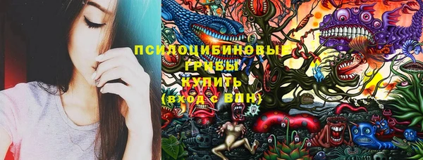 дживик Абаза