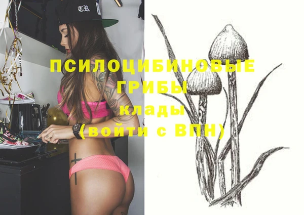 прущая мука Алзамай